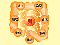 chang4.jpg chang4.jpg