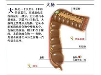 chang8.jpg chang8.jpg