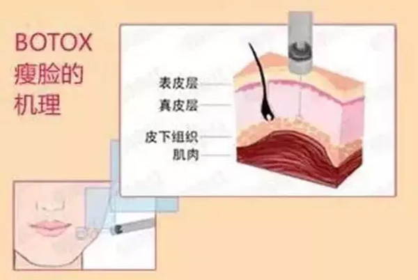 QQ图片20180423173901.jpg QQ图片20180423173901.jpg