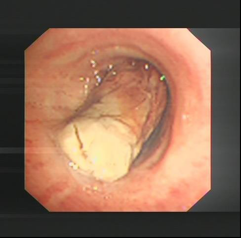图片3.jpg 图片3.jpg