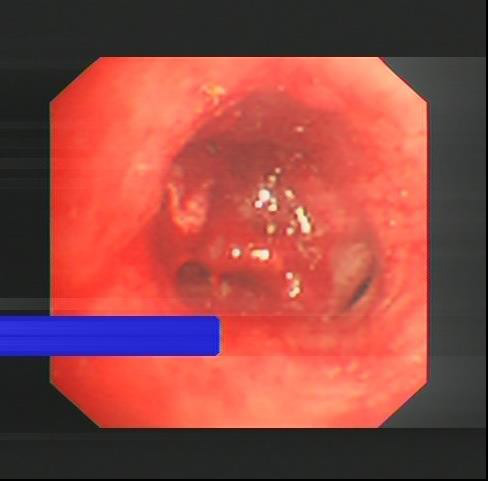图片5.jpg 图片5.jpg